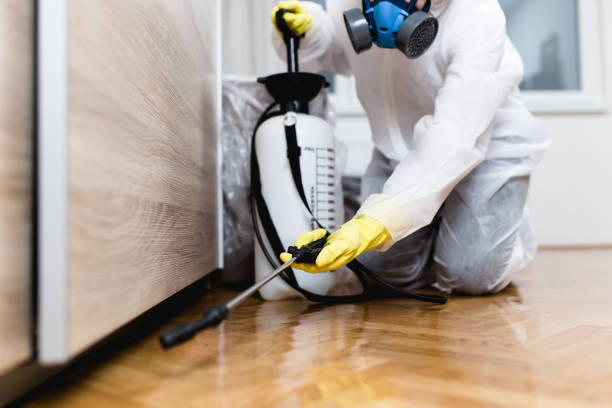 Best Best Pest Control Companies  in Vernon, AL