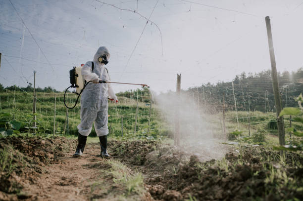 Best Local Pest Control Services  in Vernon, AL