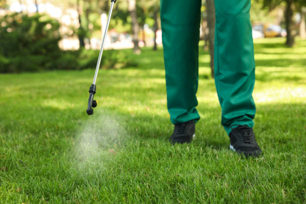 Best Local Pest Control Services  in Vernon, AL