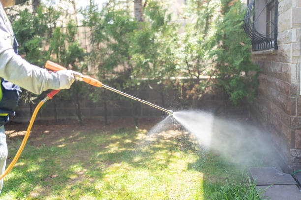 Best Ant Control Services  in Vernon, AL