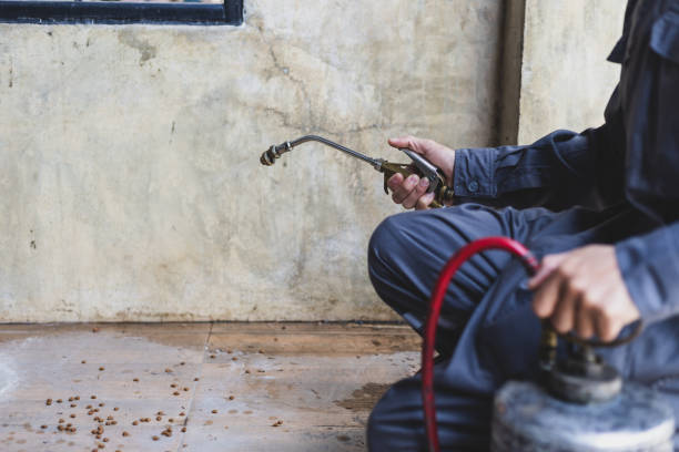 Pest Prevention Services in Vernon, AL